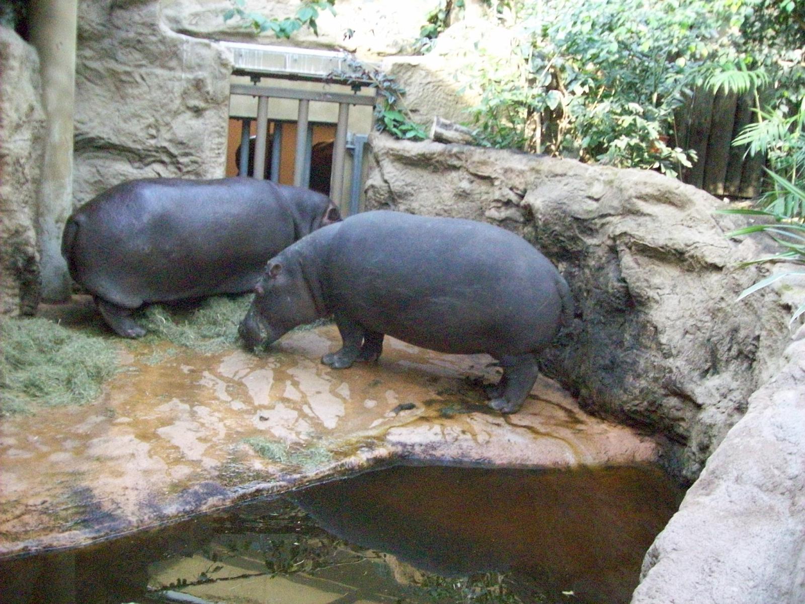 Zoom 18.10.2008-194.jpg